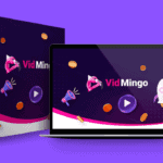 Vidmingo Review