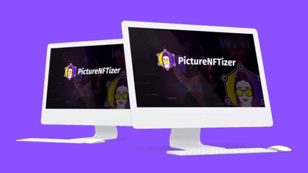 Picture NFTizer Review