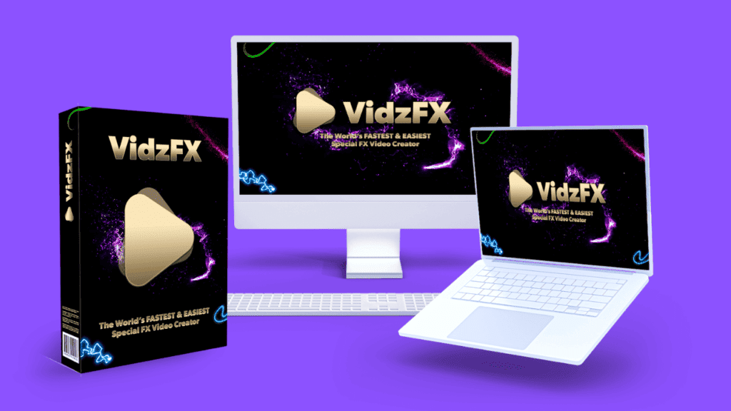 VidzFX Review